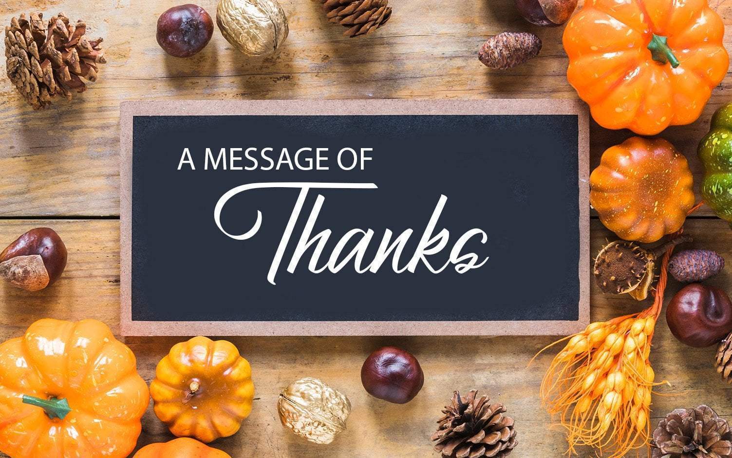 A Message of Thanks, from Dr. Dabber