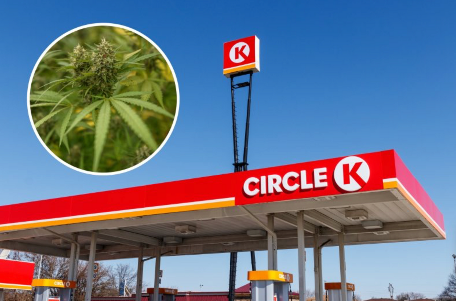 Circle K To Sell Weed in Gas Stations Next Year Dr.Dabber Circle K To Sell Weed in Gas Stations Next Year Dr.Dabber