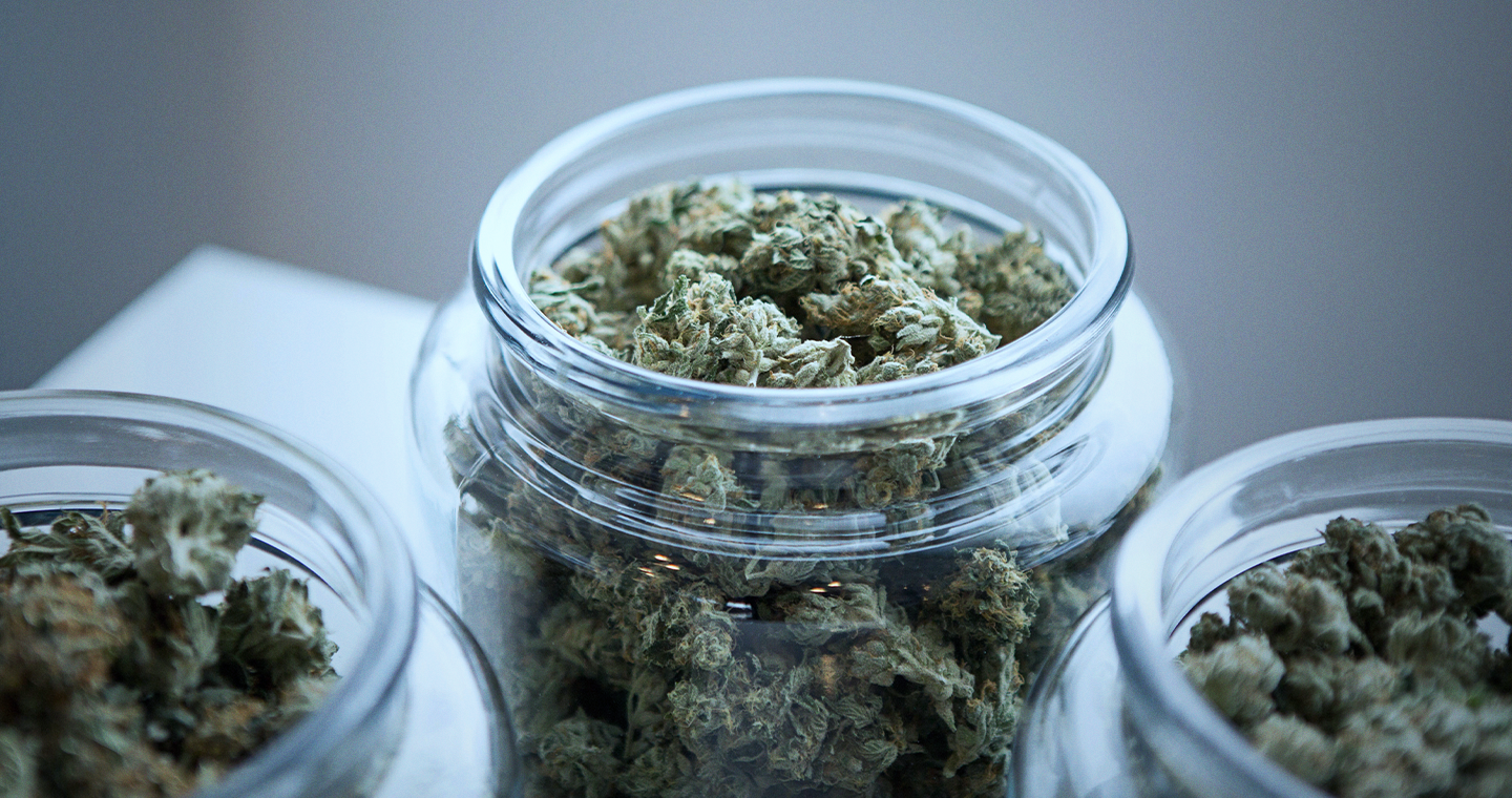 High CBD Cannabis Strains: Full Guide - Dr.Dabber®