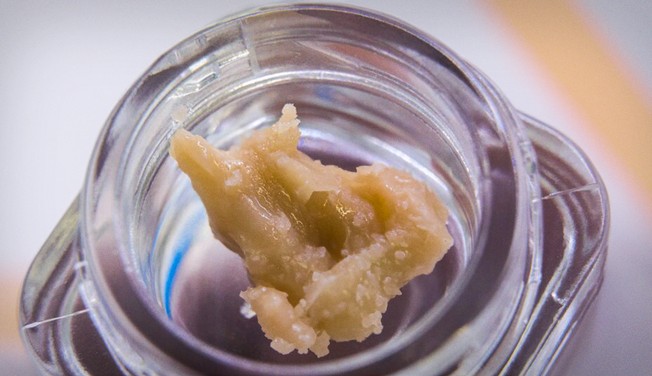 Live Rosin: Everything You Need to Know - Dr.Dabber®