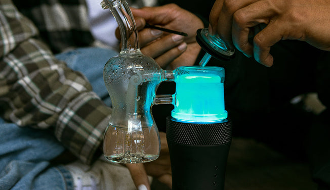 7 Flower Strains You Need to Try in the SWITCH